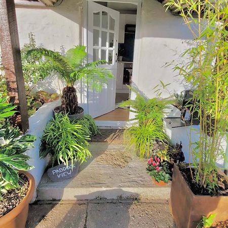 Idyllic Cornish Cottage, Superking Bed, Private Garden Dogs Welcome Truro Zewnętrze zdjęcie