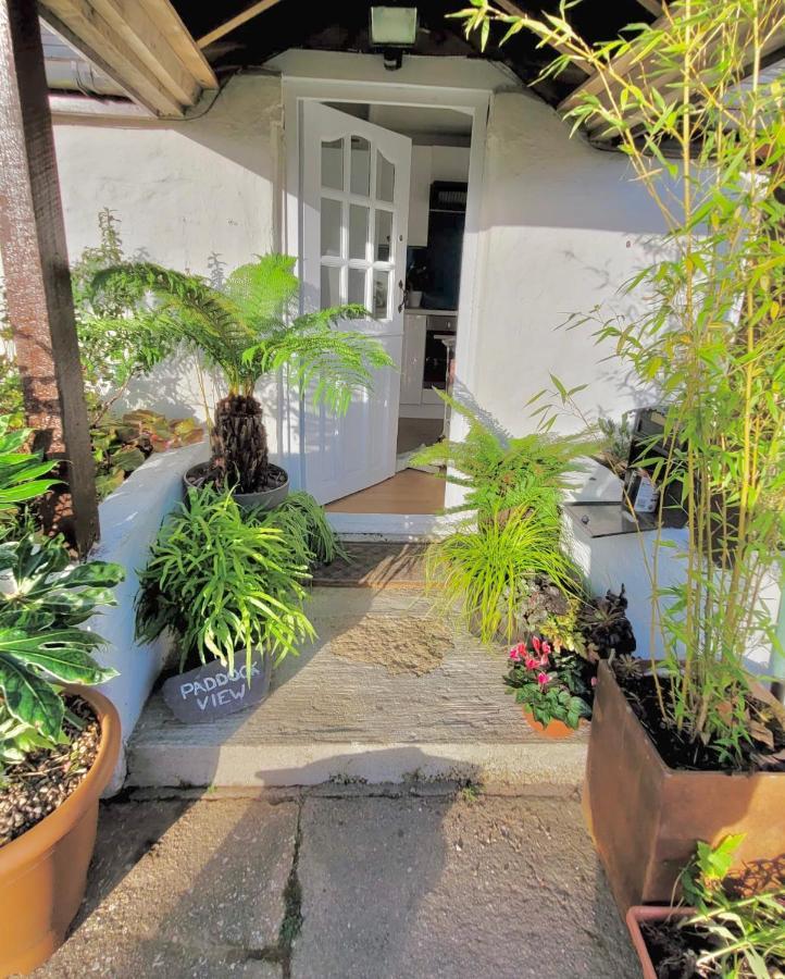 Idyllic Cornish Cottage, Superking Bed, Private Garden Dogs Welcome Truro Zewnętrze zdjęcie