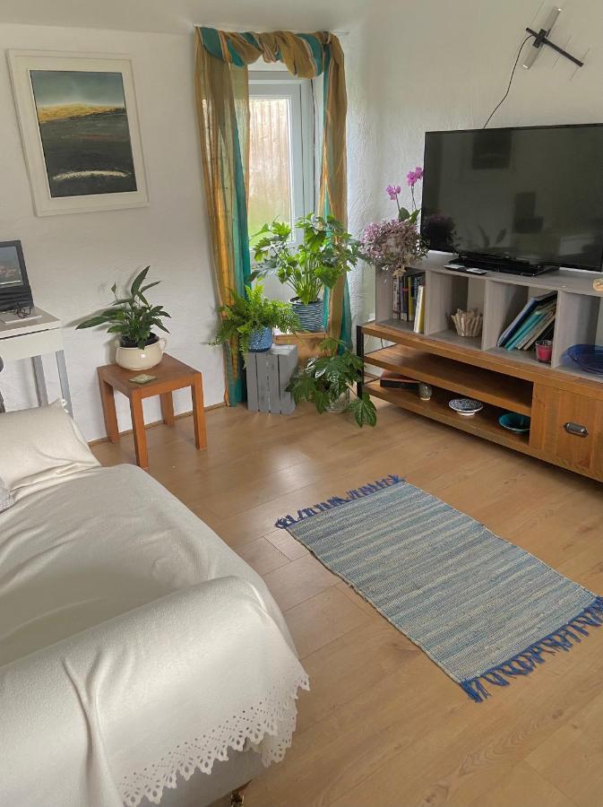 Idyllic Cornish Cottage, Superking Bed, Private Garden Dogs Welcome Truro Zewnętrze zdjęcie