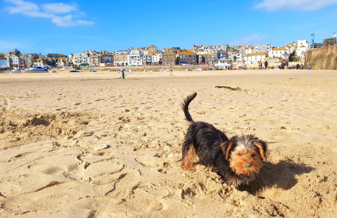 Idyllic Cornish Cottage, Superking Bed, Private Garden Dogs Welcome Truro Zewnętrze zdjęcie