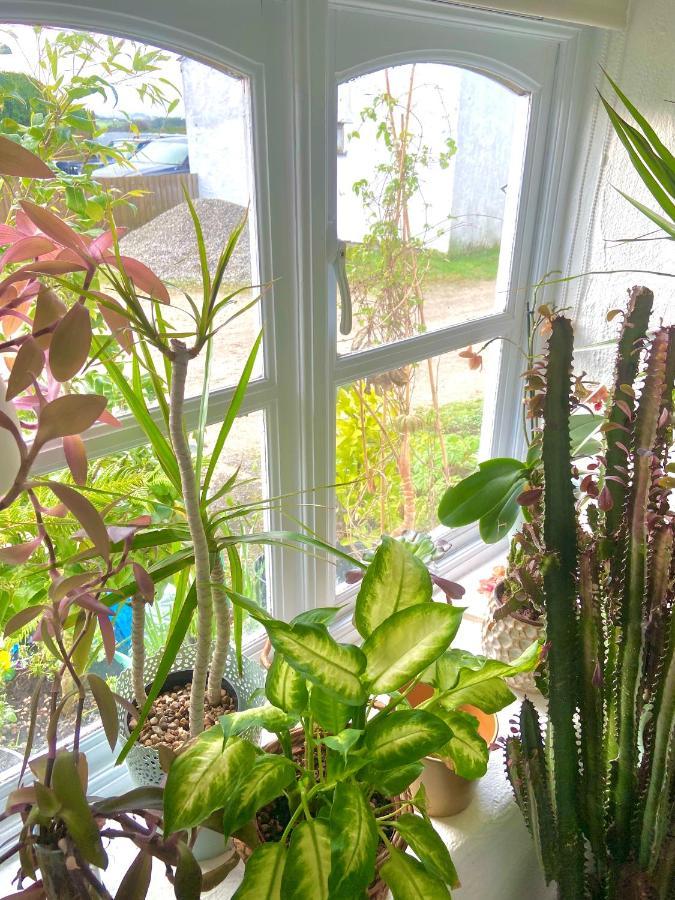 Idyllic Cornish Cottage, Superking Bed, Private Garden Dogs Welcome Truro Zewnętrze zdjęcie
